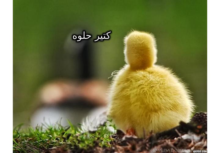 ���� ���� ������ �� ���� ������