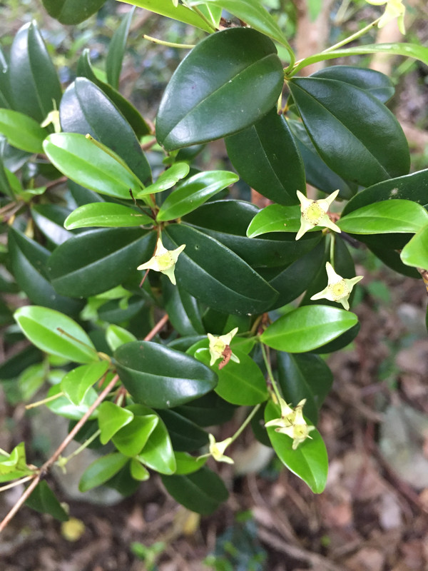 3D3DBC00-E5AA-49C8-AC29-39B775323859