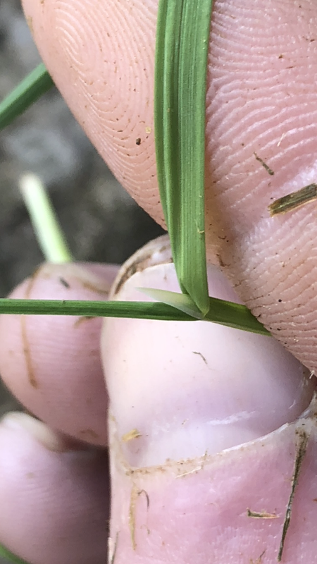 870A2997-8934-43A3-A153-0DEBFE564C9F