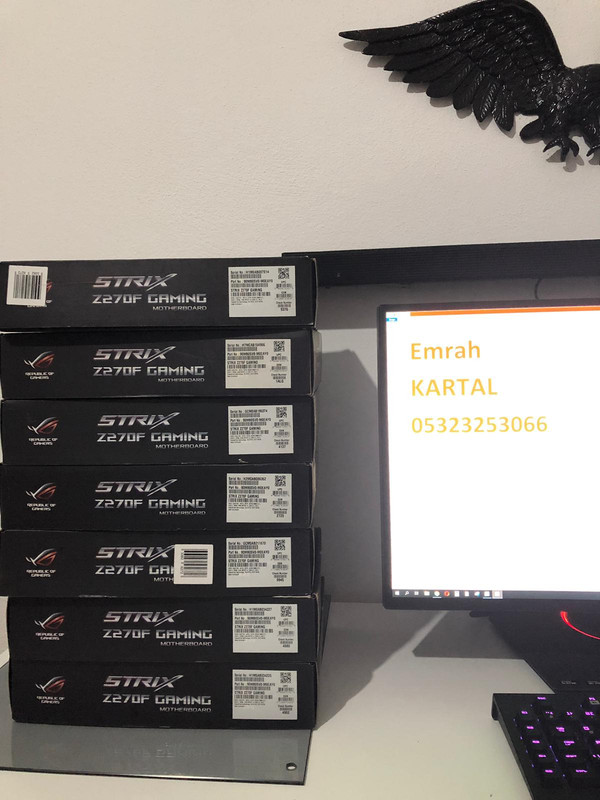 WhatsApp Image 2018-11-22 at 21.15.57 (1)