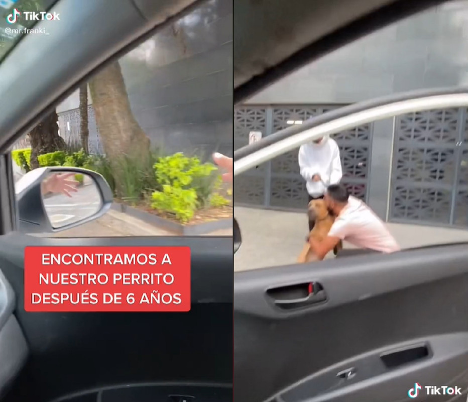 Perro se hace viral al reencontrarse con su amo tras años de estar perdido