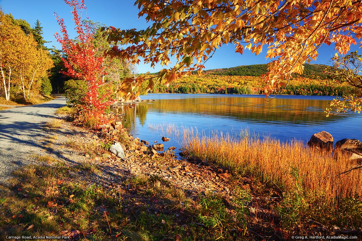 صور لجمال الطبيعة في فصل الخريف Autumn-9982