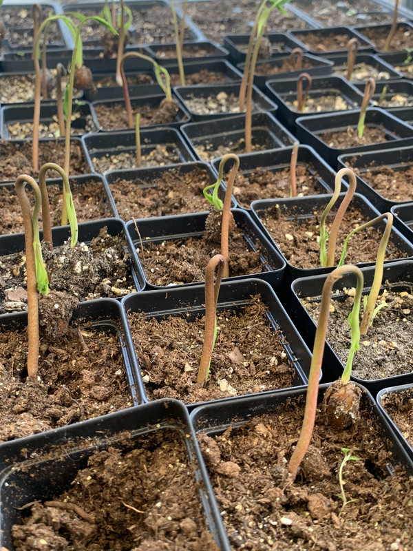 BD924B13-D28B-4A74-852C-75C5AD5FFBC9