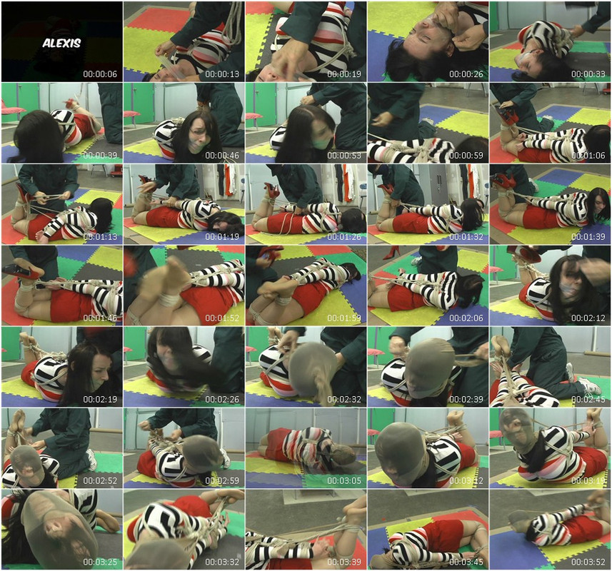 0888BD.wmv