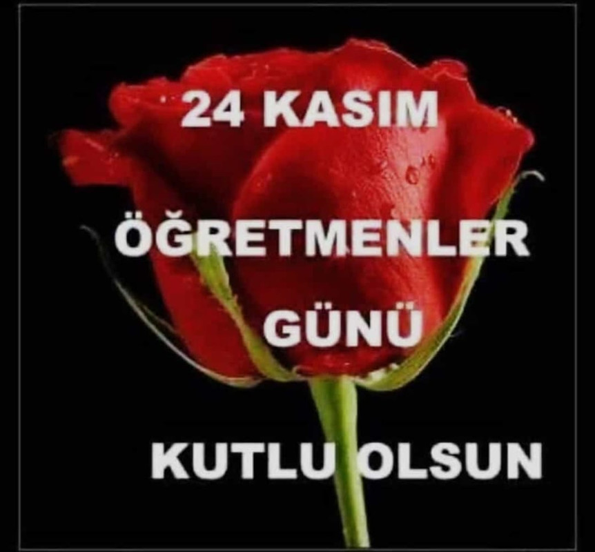 IMG-20221124-WA0005