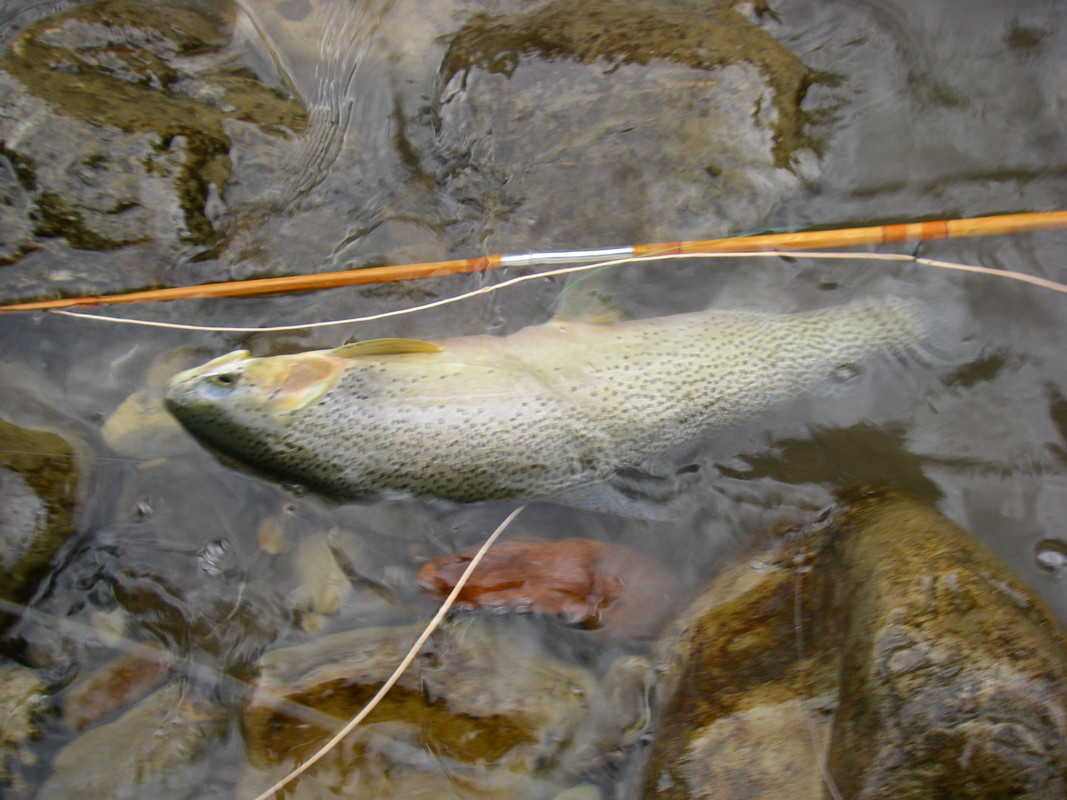 aug 30- sept 15-09 (12)