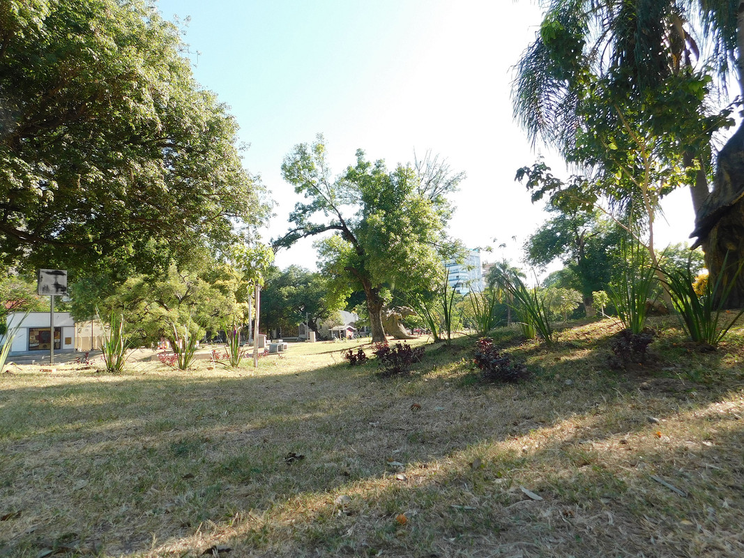 DSCN0521.jpg