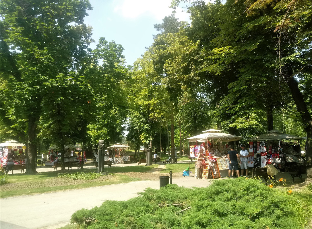 Slika