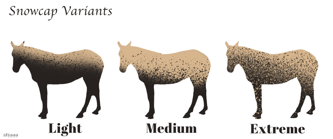 Snowcap-Variants.png