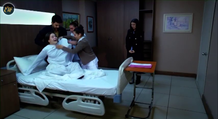 Elif 299 (1)