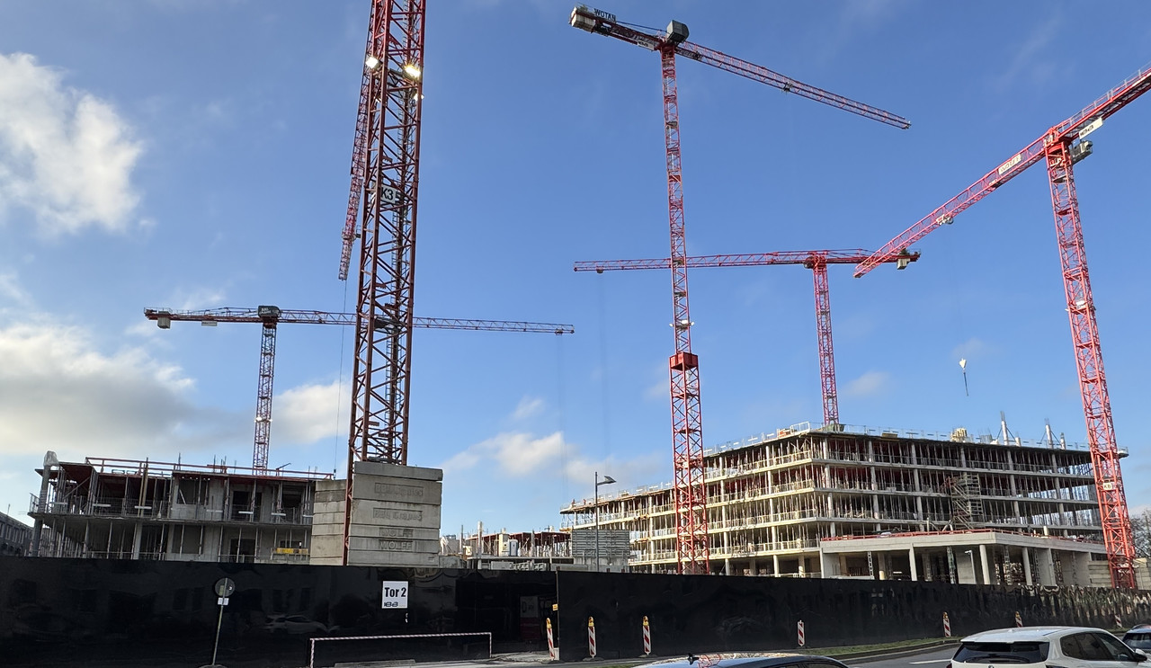 42E6032A AD34 4808 A26F AB91FAD089F0 1 201 a