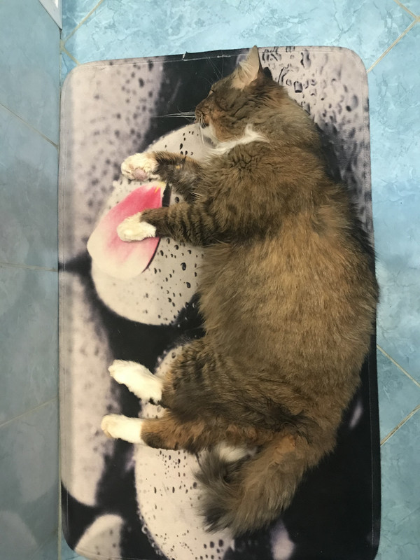 D60F9175-66BF-4E33-82E0-33FEEDE36004