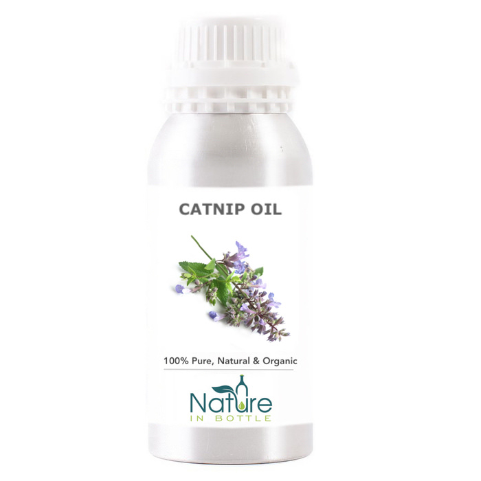 Catnip Essential Oil Organic Nepeta Cataria for Cats