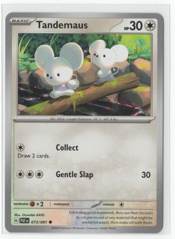 Pokemon Paldean Fates – 073/091 Tandemaus