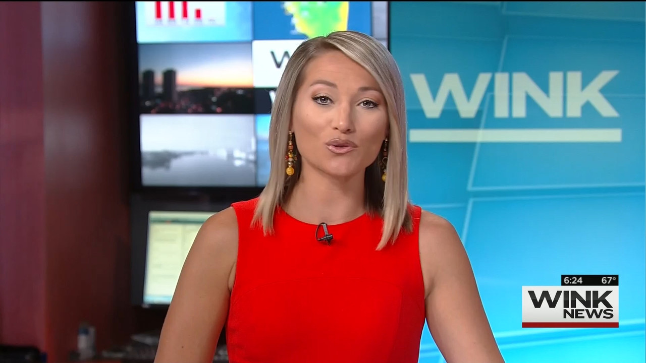03 May - 11.00.00 - WINK News @ 6 00AM Sunday..ts_snapshot_00.28.01_[2020.05.03_15.56.49]
