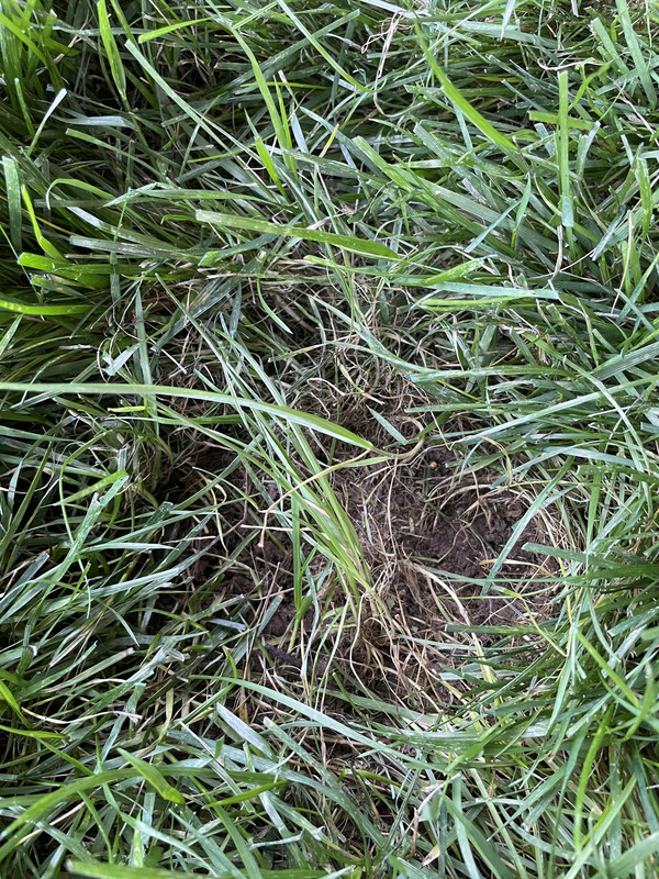 E8416D80-5898-4AE4-A9FB-C5265B64A87A