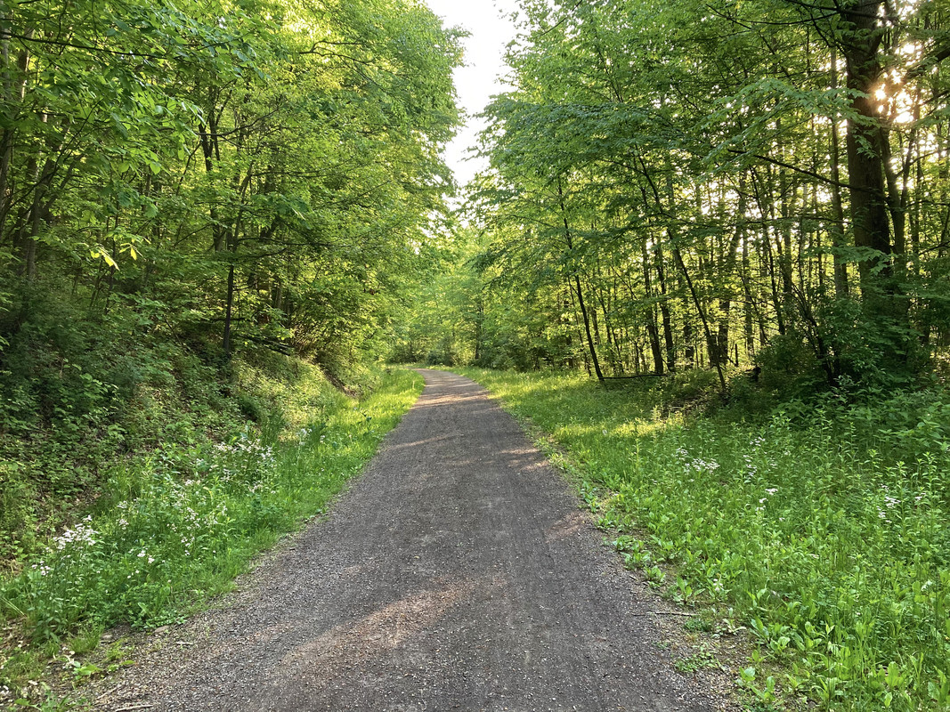 2024-05-20 Ghost Town Trail 1 - East near Heshbon