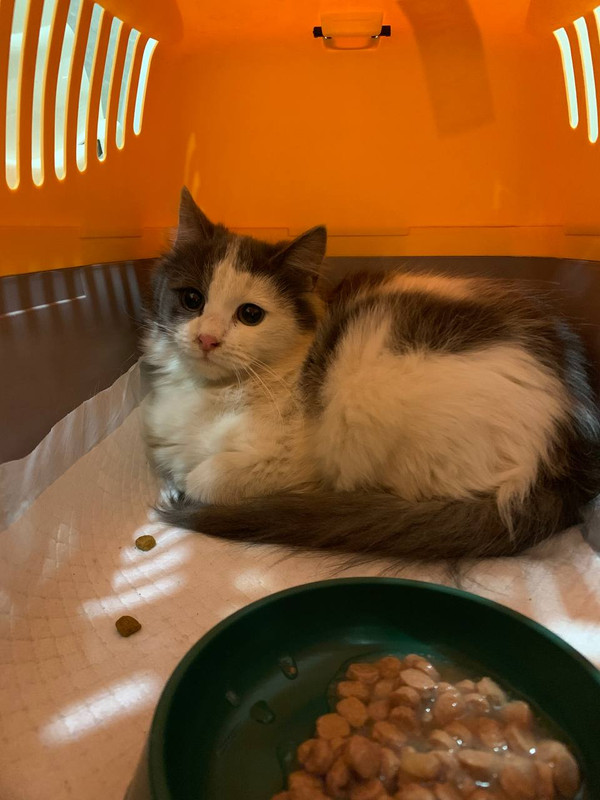 A43C323E-0FC5-4A05-BBBB-03D097214246