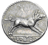 Glosario de monedas romanas. JABALÍ DE ERIMANTE. 7