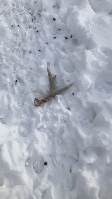 9BE20A45-CA44-4489-BC40-53570BFC542B