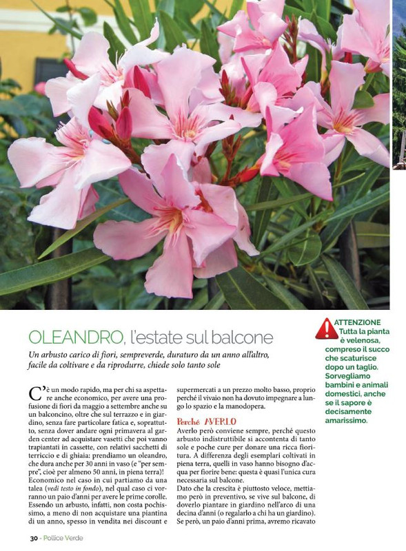 Pol Ver Ago 2021 (5)