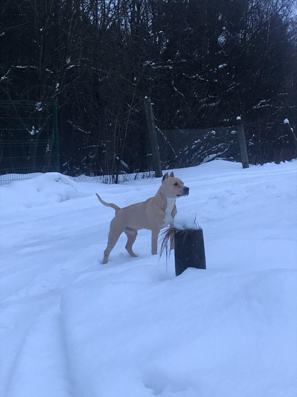 665FCD7D-A729-4B41-84BD-6B84A4F518BE