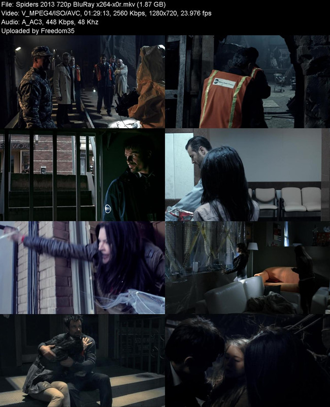 Spiders-2013-720p-Blu-Ray-x264-x0r.jpg