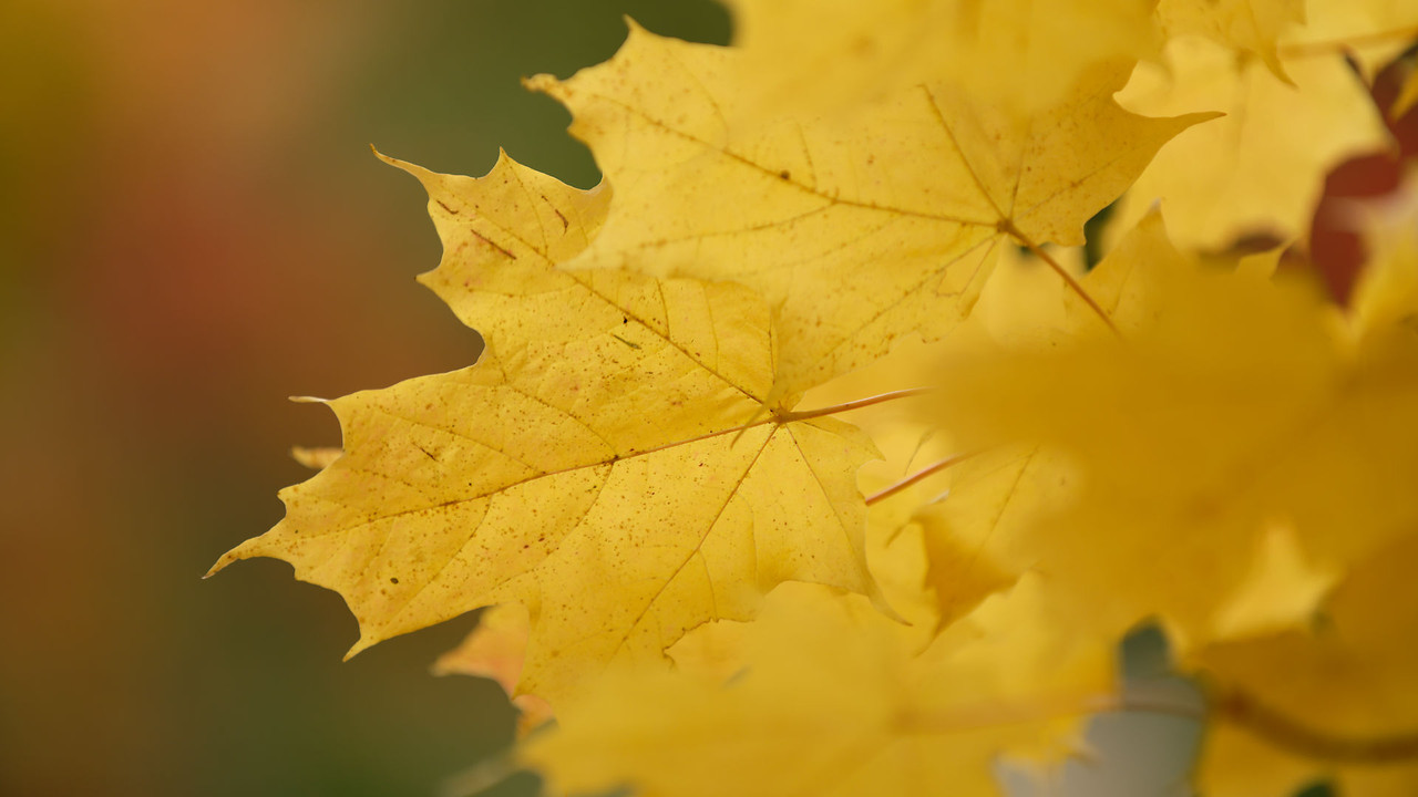 20211030Dortmund_004_DxO-1