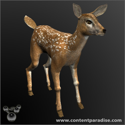 CP Fawn