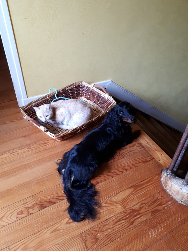 [Image: 20201104-152343.jpg]