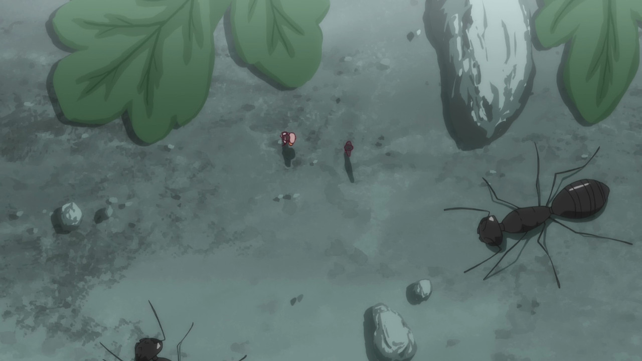 MTBB Owarimonogatari S2 01 ECAE6601 o 00 14 26 00002