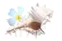 245
