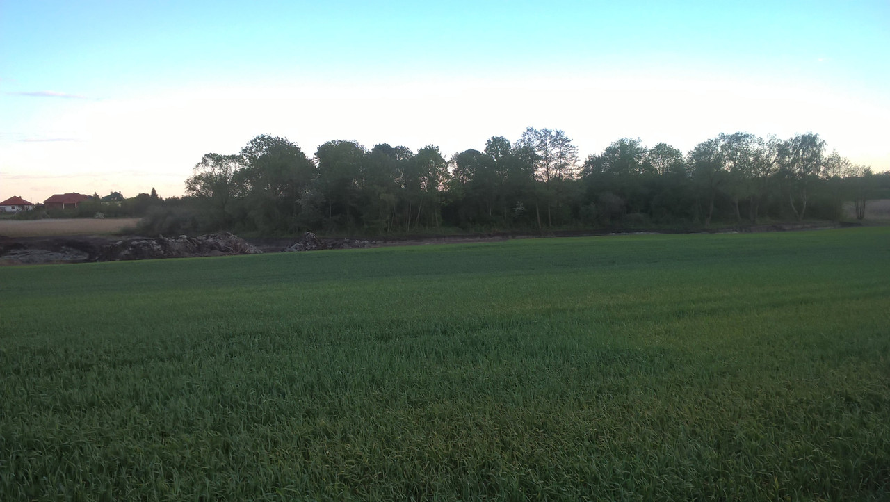 01.04 - WP_20160515_19_38_31_Pro (Hanka)