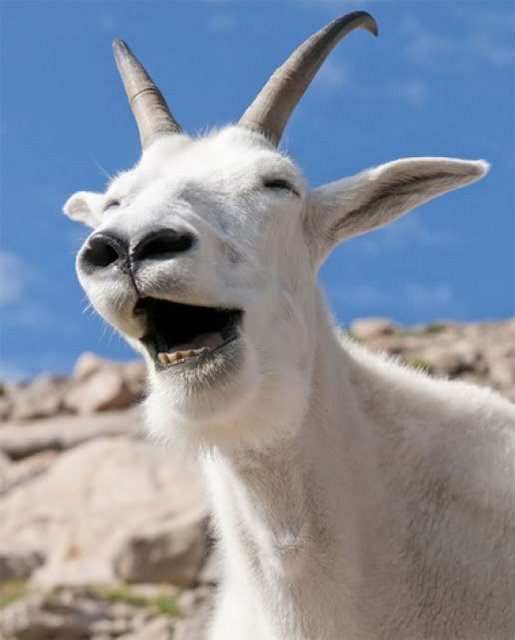 [Image: 7-D27-C684-3-E8-B-44-EF-B49-E-BAF6-C4257-C89.jpg]