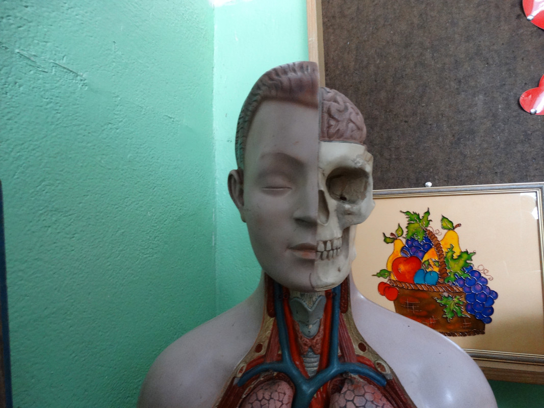 17.11 - DSC05833 (Czesio1)