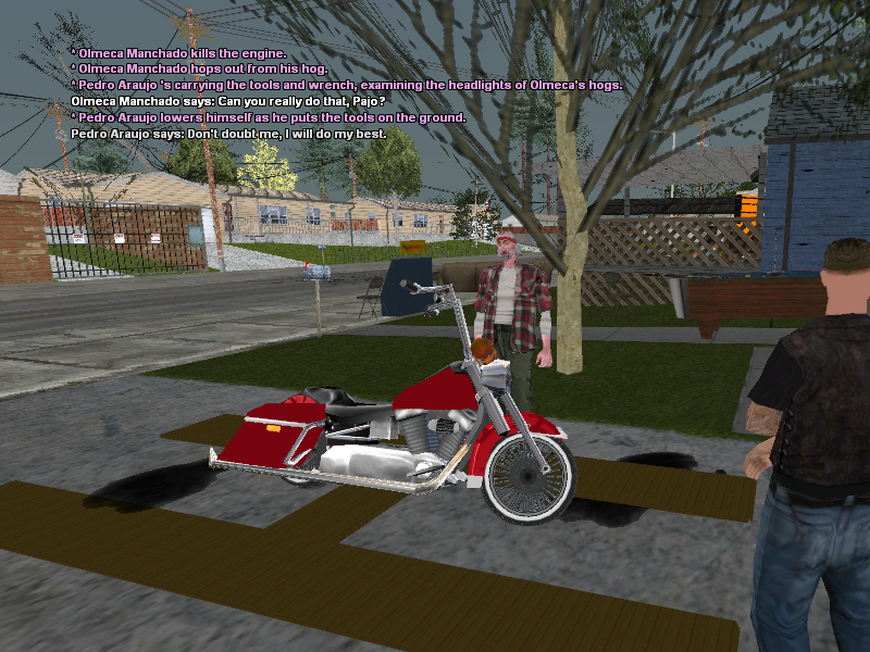SSRoleplay395.png
