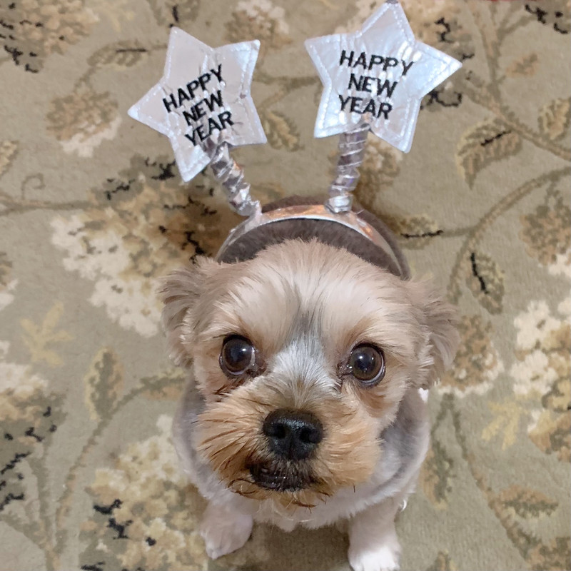 51AEBA30 F1E5 4413 AA1E 8D852AF75748 Copy