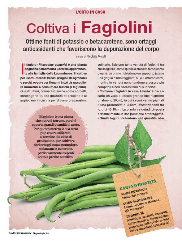 Cur Mang Giu-Lug 2024 (7)