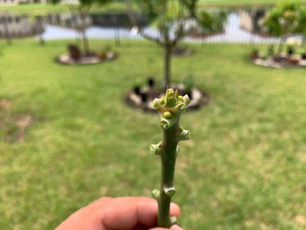 9C6CF527-59E6-4F7B-8574-52935C15D171