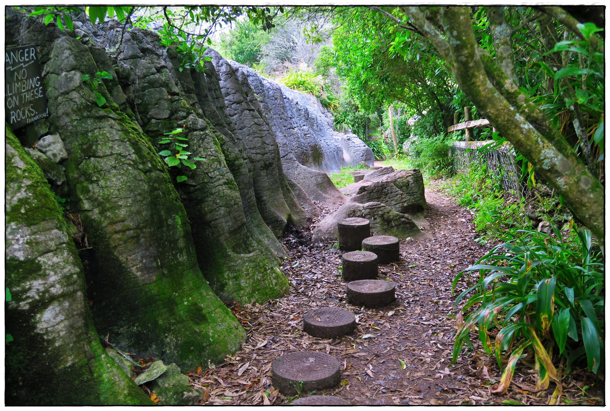 Escapadas y rutas por la Nueva Zelanda menos conocida - Blogs de Nueva Zelanda - Golden Bay (Navidad 2020, II) (32)