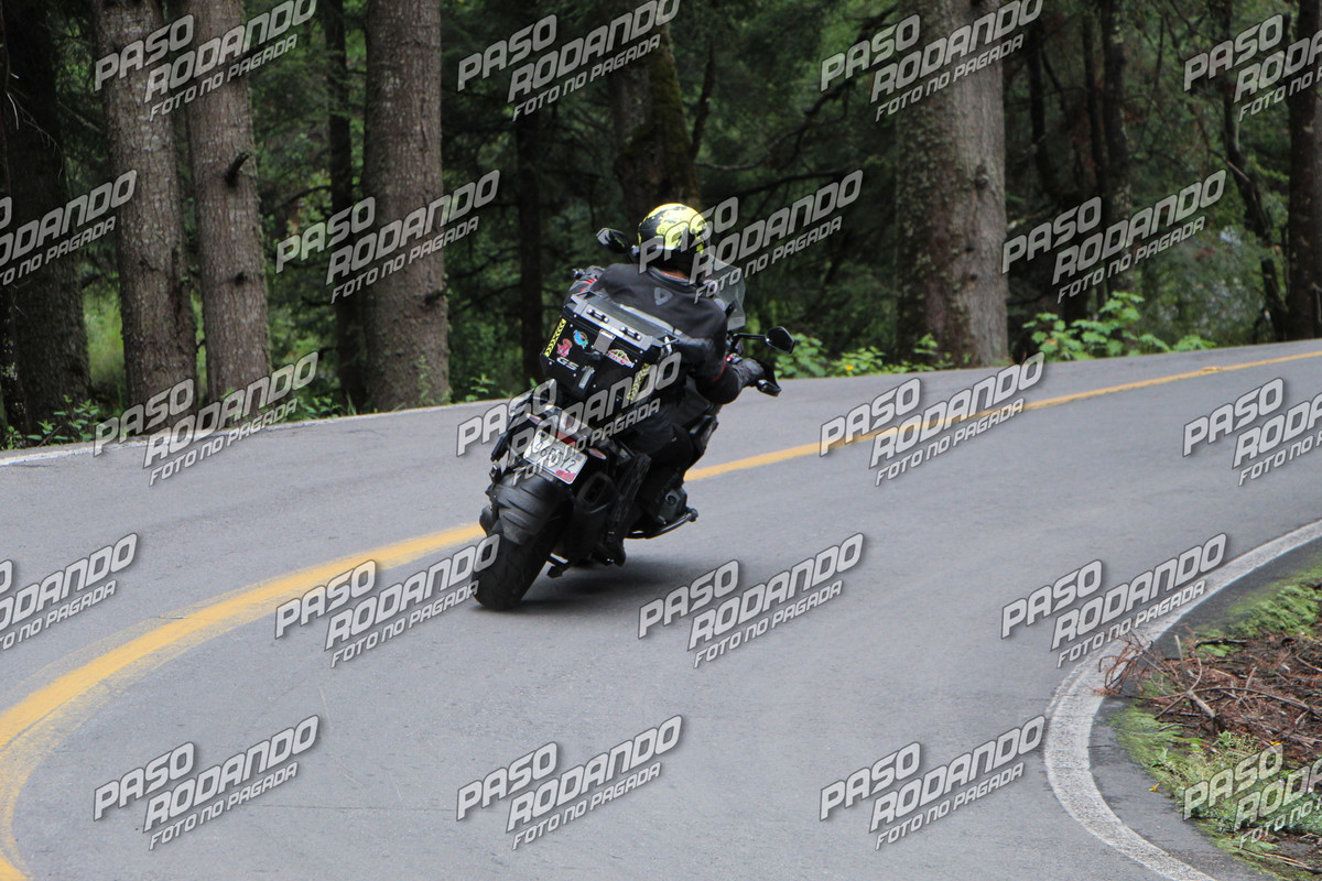 IMG_0027-wm-910082.6000000001_watermarked