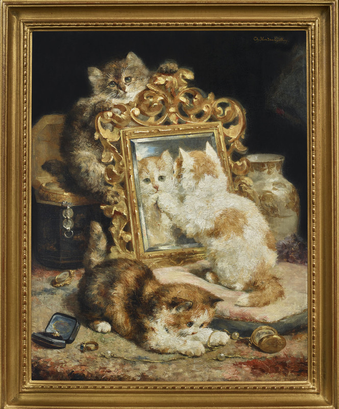 Van-den-Eycken-Chatons-au-miroir-et-bijoux