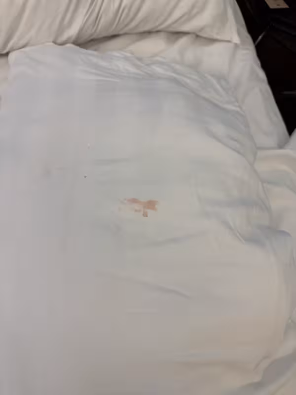 图8-粉红色润滑液染到床单上