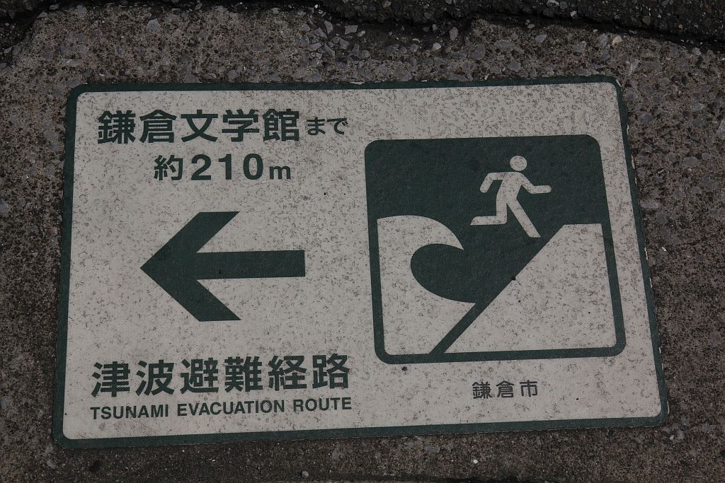 https://i.postimg.cc/rpjPL5bk/IMG-7962.jpg