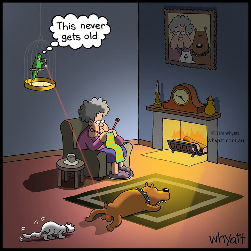 615965279 1318682846961838 3912731395152016431 n