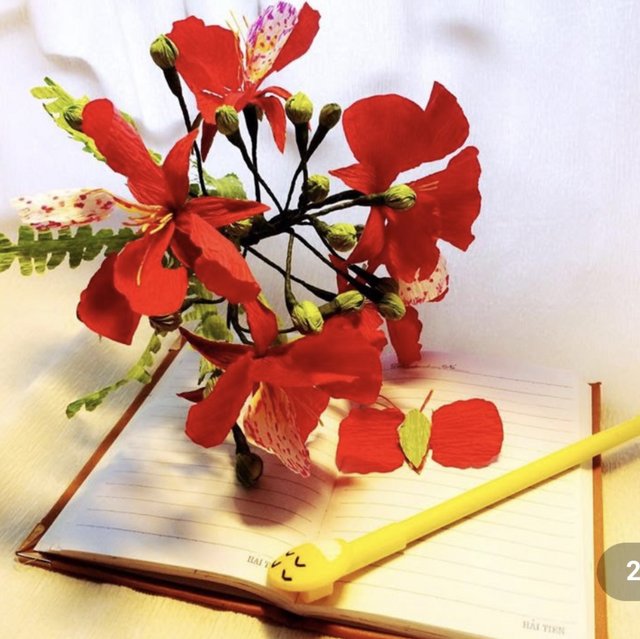 [Image: 11893214-220-F-452-A-BD0-A-F4014-BD8-E4-FA.jpg]