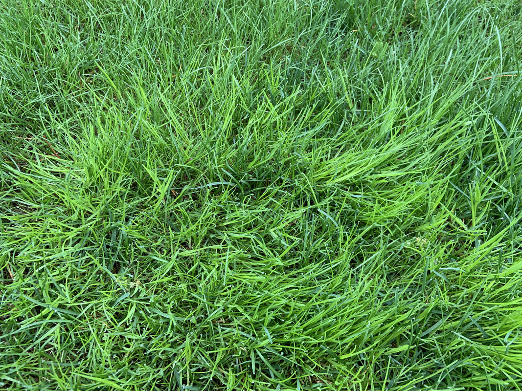 CFC2A179-C571-4653-9AF1-0F96049EE18F