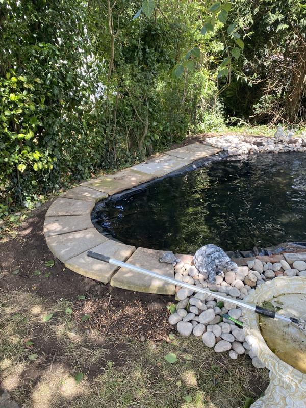 44BA9349-E971-47FE-AC4D-933BE7BBED9D