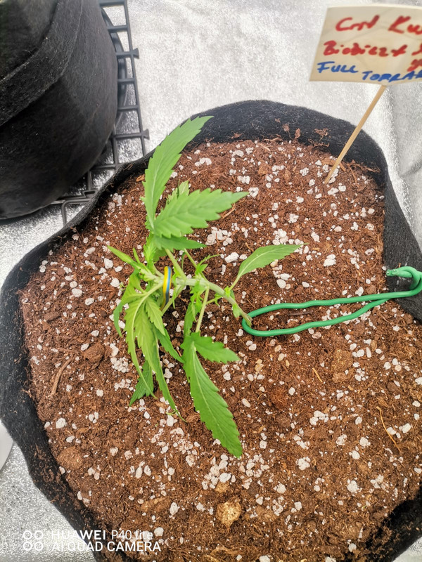 WhatsApp Image 2025-09-19 at 22.05.16 (1)