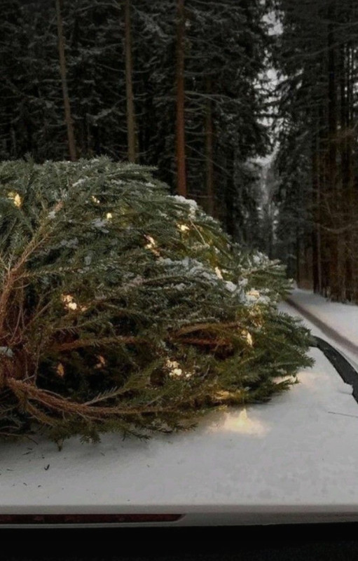 Screenshot_20231104_212229_Pinterest